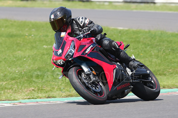 BIKES 0894