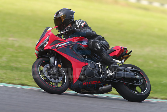 BIKES 1698