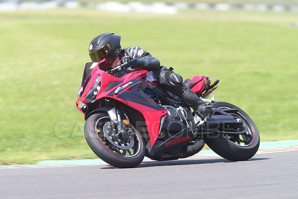 BIKES 1704