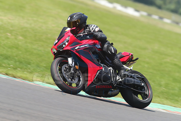 BIKES 1717