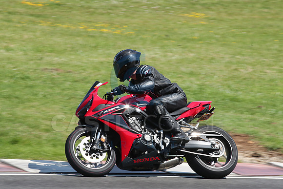BIKES 2238