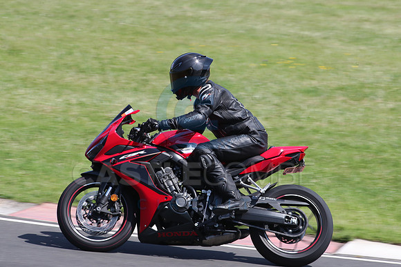BIKES 2239