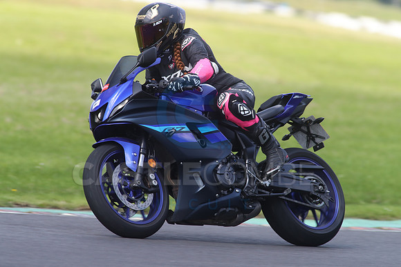 BIKES 1702