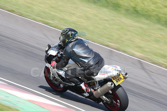 BIKES 2446