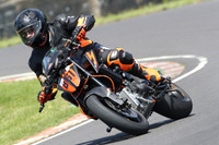 BIKES 0976