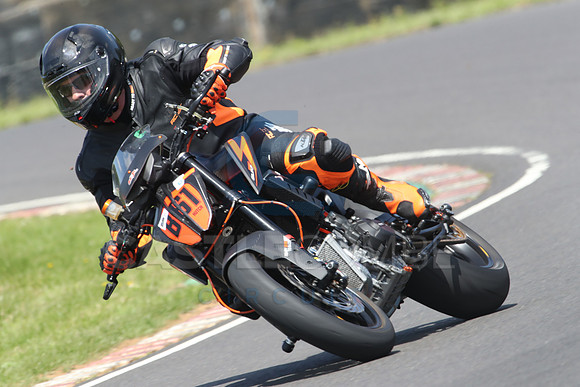 BIKES 0976