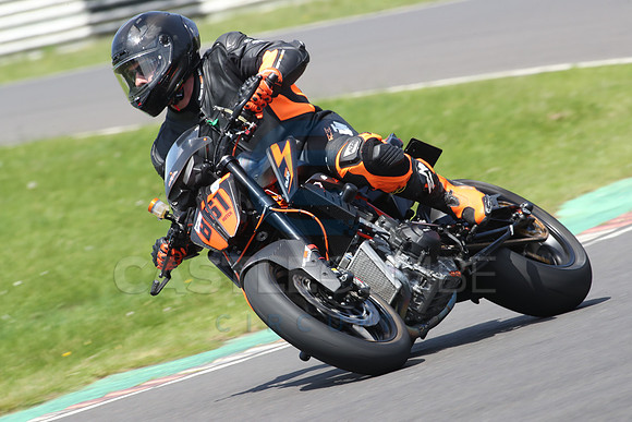 BIKES 1008