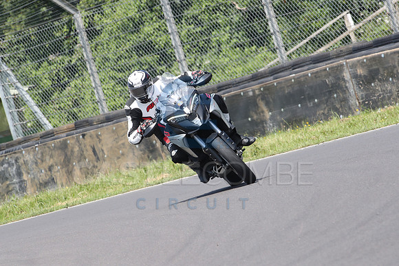 BIKES 1003