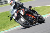 BIKES 1022