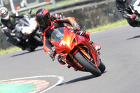 BIKES 0983