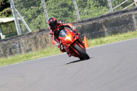 BIKES 1017