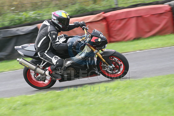 BIKES 0733