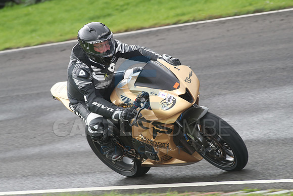 BIKES 0779