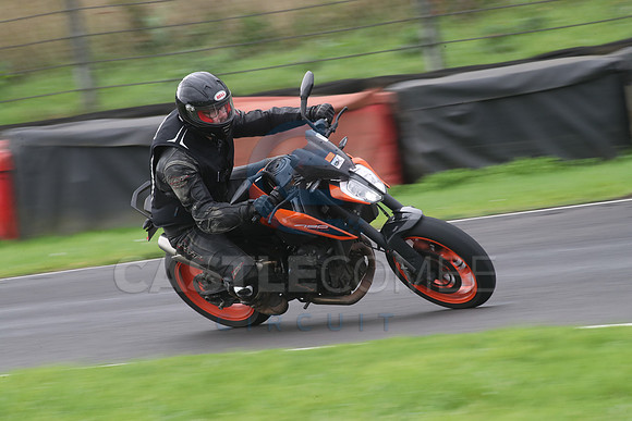 BIKES 0806