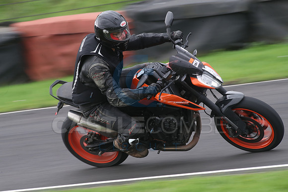 BIKES 0808