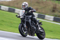 BIKES 0330