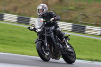 BIKES 0351