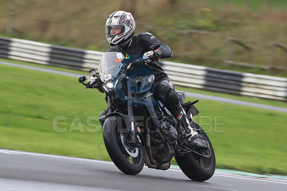 BIKES 0351