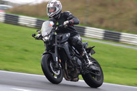 BIKES 0352
