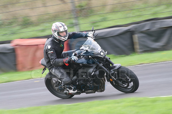 BIKES 0819