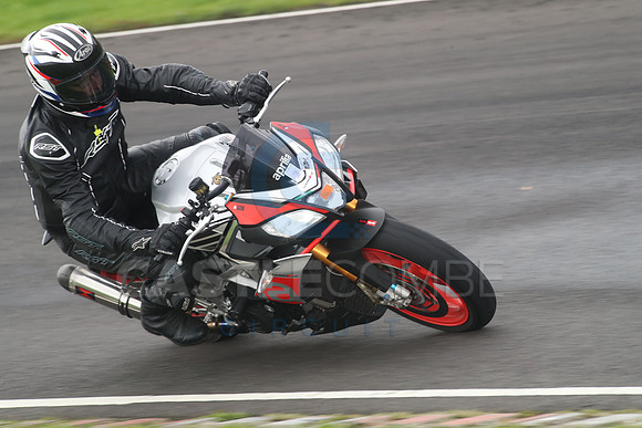 BIKES 0949