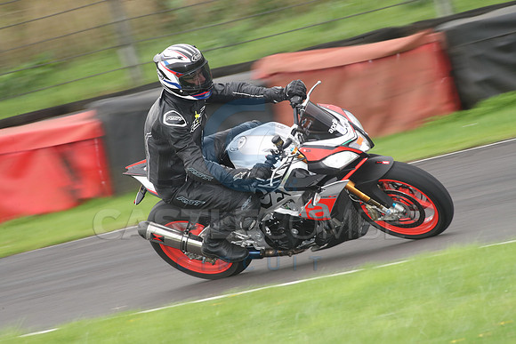 BIKES 0961