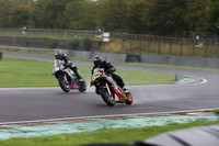 BIKES 1233