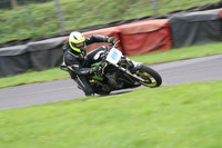 BIKES 1201