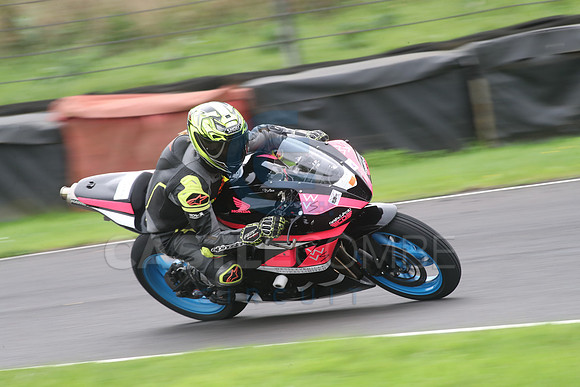BIKES 1195