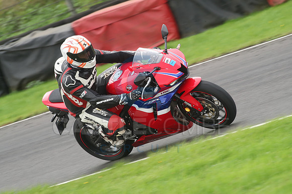BIKES 1160
