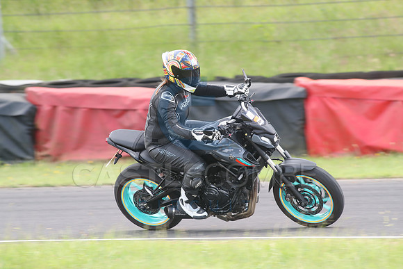BIKES 1287