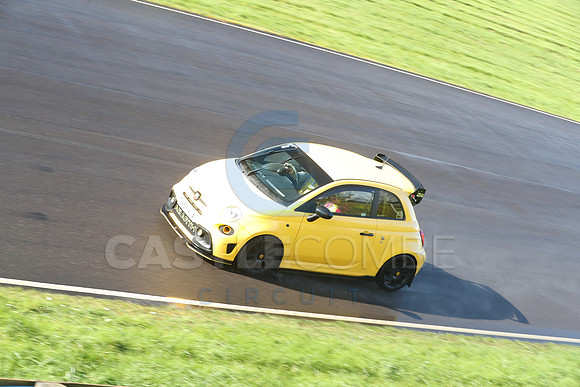 Spring Action 2932