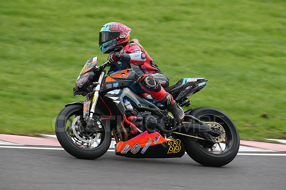 BIKES 1282