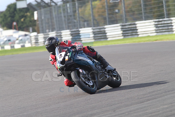 BIKES 0981