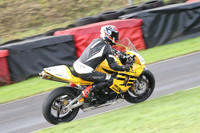Fowlers 0283