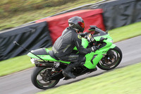 Fowlers 0278
