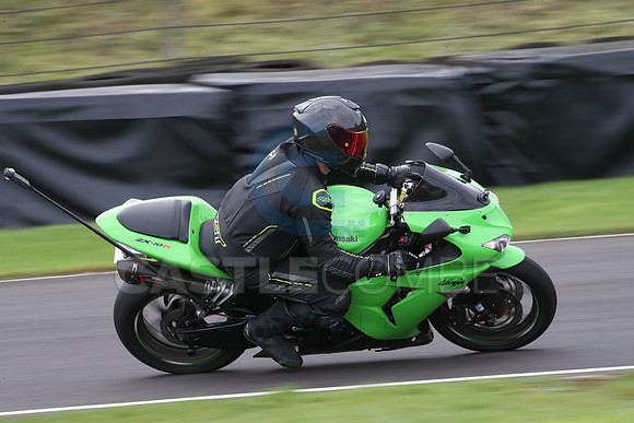 Fowlers 0363