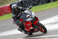 Fowlers 0307