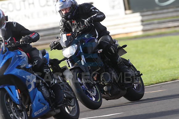 Fowlers 0659