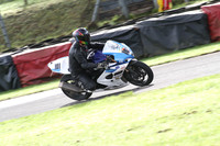 Fowlers 0394