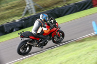 Fowlers 1099
