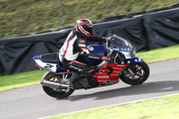 Fowlers 0404