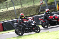 Fowlers 0409