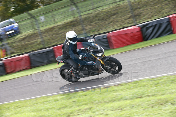 Fowlers 1100