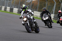 Fowlers 1300