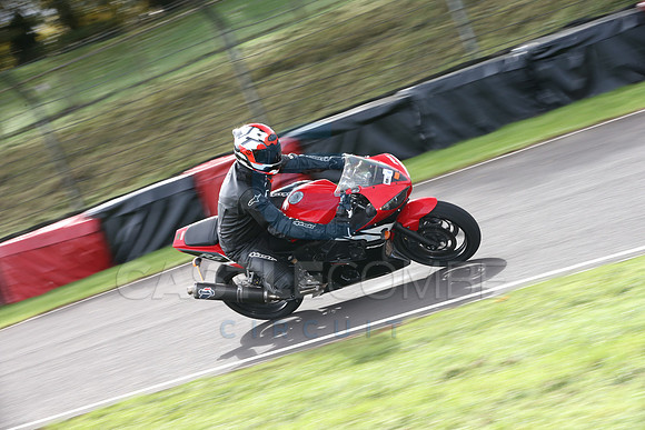 Fowlers 1091