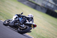 BIKES 1347