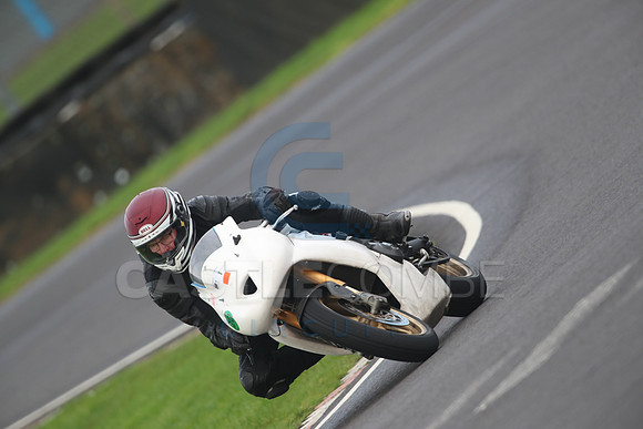 BIKES 1498