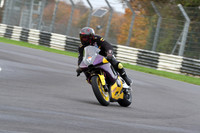 BIKES 0388