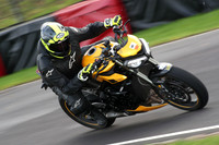 BIKES 0833